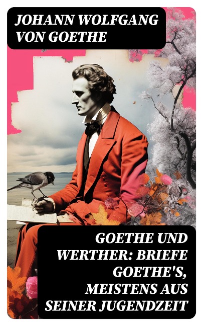 Goethe und Werther: Briefe Goethe's, meistens aus seiner Jugendzeit - Johann Wolfgang von Goethe