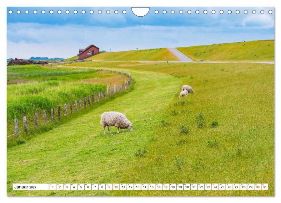 InsideView 6