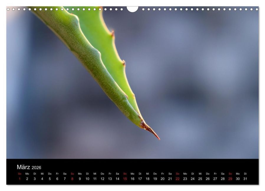 InsideView 8