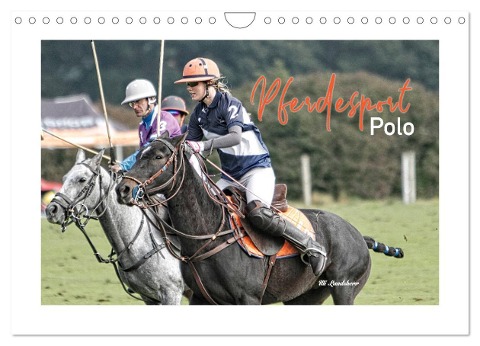 Pferdesport Polo (Wandkalender 2024 DIN A4 quer), CALVENDO Monatskalender - Uli Landsherr