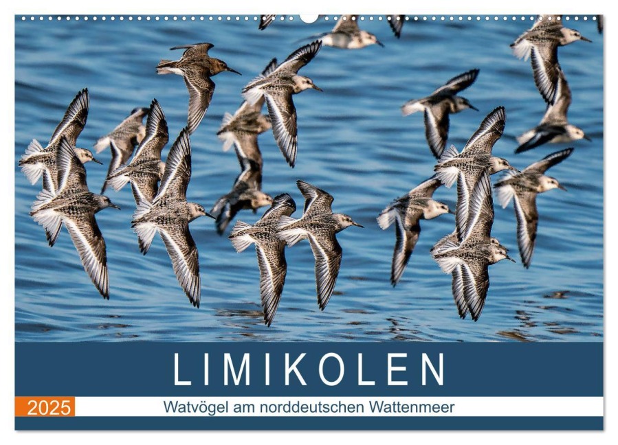 Limikolen - Watvögel am norddeutschen Wattenmeer (Wandkalender 2025 DIN A2 quer), CALVENDO Monatskalender - Arne Wünsche