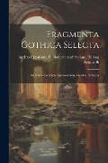 Cover-Bild zum Titel 'Fragmenta Gothica Selecta' von 'Bibliotheca Ambrosiana Herzo Uppström'