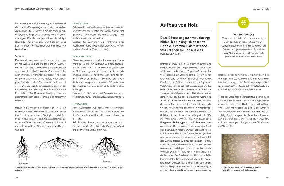 InsideView 4