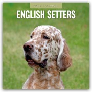 Cover-Bild zum Titel 'English Setters - Englisch Setter 2026 - 16-Monatskalender' von 'Robin Red'