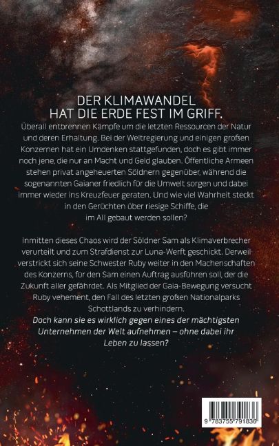 InsideView 1