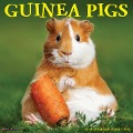Guinea Pigs 2025 12 X 12 Wall Calendar - Willow Creek Press