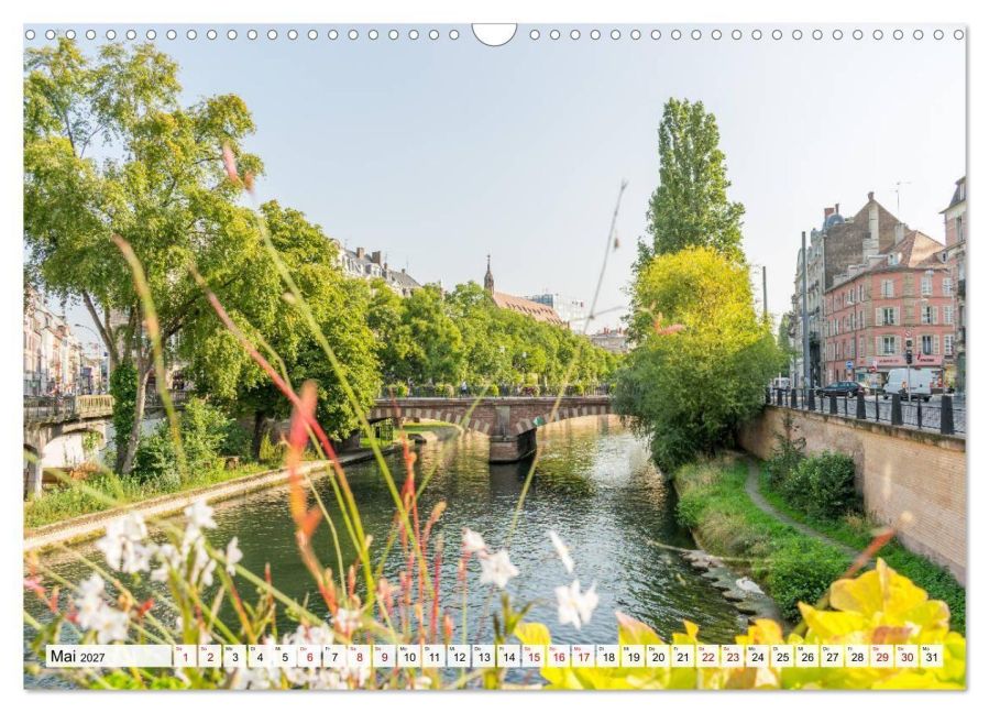 InsideView 10