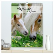 Cover-Bild zum Titel 'Haflinger Pferde - Stall- und Familienplaner 2026 (hochwertiger Premium Wandkalender 2026 DIN A2 hoch), Kunstdruck in Hochglanz' von 'Natural-Golden. de Natural-Golden. de'
