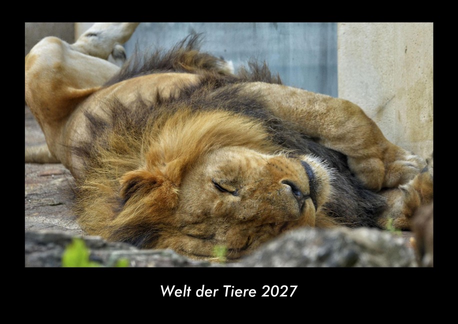 Welt der Tiere 2027 Fotokalender DIN A3 - Tobias Becker