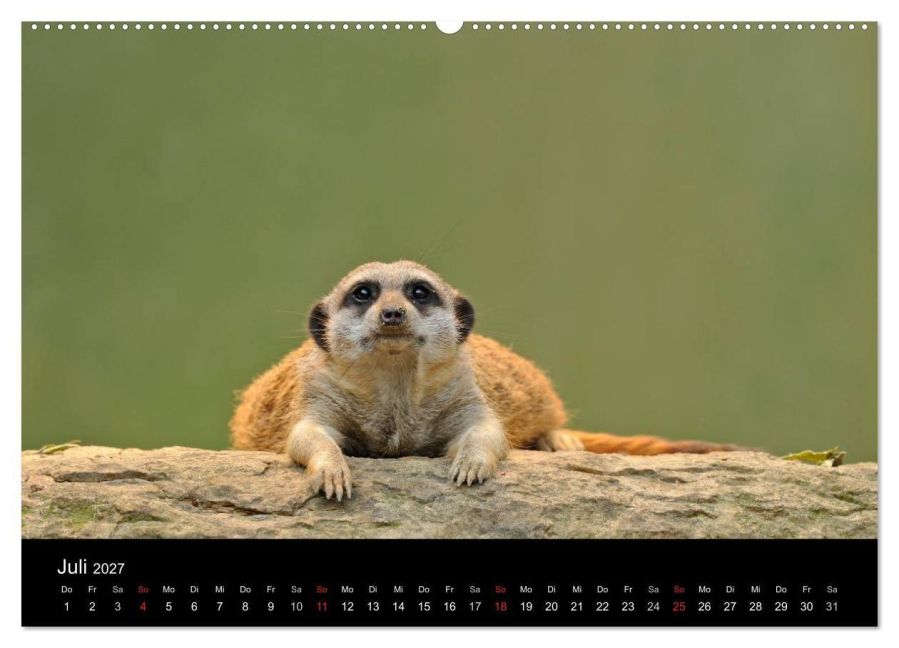 InsideView 12