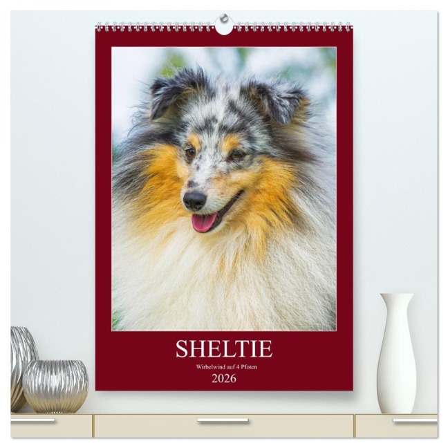 Sheltie - Wirbelwind auf 4 Pfoten (hochwertiger Premium Wandkalender 2026 DIN A2 hoch), Kunstdruck in Hochglanz - Sigrid Starick