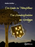 Cover-Bild zum Titel 'Die Kinder im Tobteufelhaus / Das Wunderpferdchen aus Kornhagen' von 'Holda Schiller'