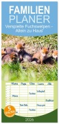 Cover-Bild zum Titel 'Familienplaner 2026 - Verspielte Fuchswelpen - Allein zu Haus' mit 5 Spalten (Wandkalender, 21 x 45 cm) CALVENDO' von 'Janita Webeler'