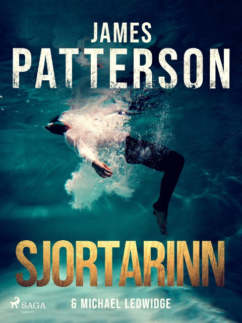 Sjortarinn - Michael Ledwidge, James Patterson