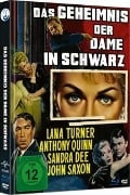 Cover-Bild zum Titel 'Das Geheimnis der Dame in schwarz' von 'Ivan Goff, Ben Roberts, Frank Skinner'