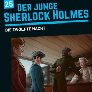 Cover-Bild zum Titel 'Die zwölfte Nacht' von 'David Bredel, Florian Fickel'