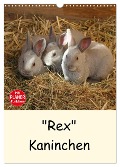 "Rex" Kaninchen (Wandkalender 2024 DIN A3 hoch), CALVENDO Monatskalender - Anja Bagunk