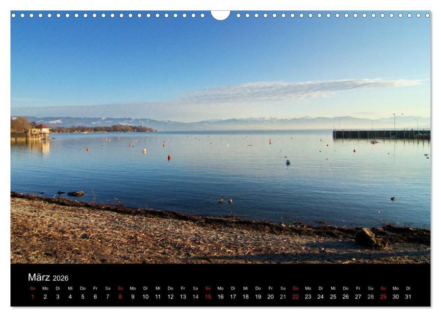InsideView 8