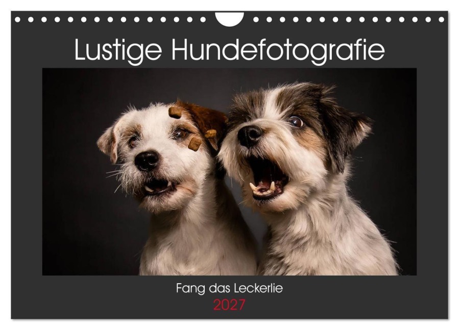Fang das Leckerlie (Wandkalender 2027 DIN A4 quer), CALVENDO Monatskalender - Christiane Heggemann Eyecatcher-Fotografie