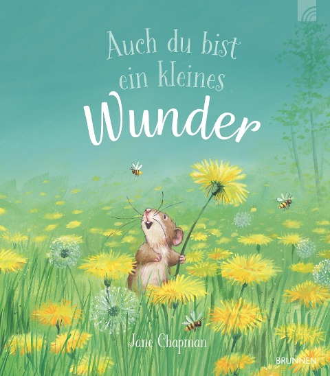Auch du bist ein kleines Wunder - Jane Chapman
