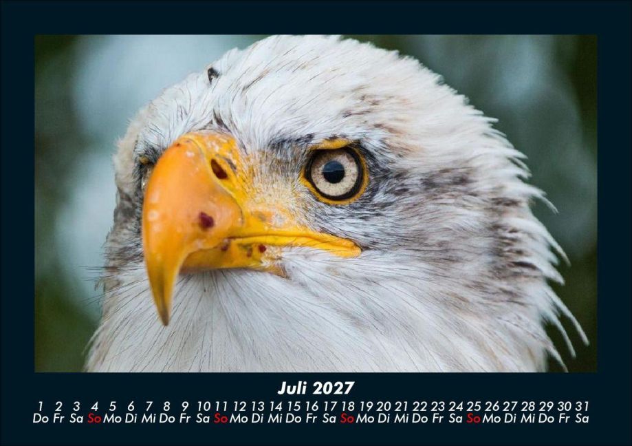 InsideView 11