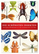 Cover-Bild zum Titel 'Die schönsten Insekten (Wandkalender 2026 DIN A4 hoch), CALVENDO Monatskalender' von 'Wildlife Art Print'