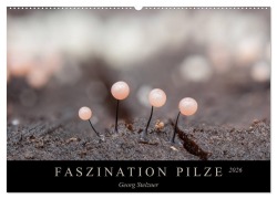 Cover-Bild zum Titel 'FASZINATION PILZE 2026 (Wandkalender 2026 DIN A2 quer), CALVENDO Monatskalender' von 'Georg Stelzner'