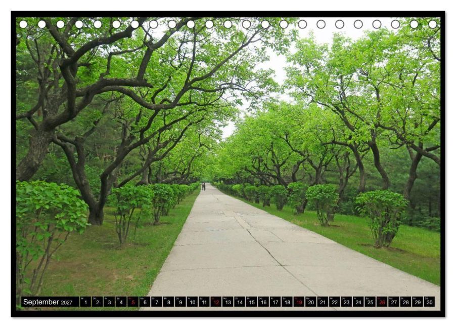 InsideView 14