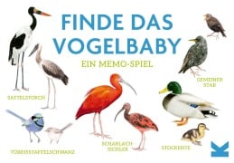 Cover-Bild zum Titel 'Finde das Vogelbaby' von ''