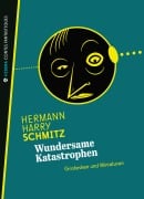 Cover-Bild zum Titel 'Wundersame Katastrophen' von 'Hermann Harry Schmitz'