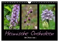 Heimische Orchideen im Dreierpack (Wandkalender 2024 DIN A4 quer), CALVENDO Monatskalender - Sabine Löwer
