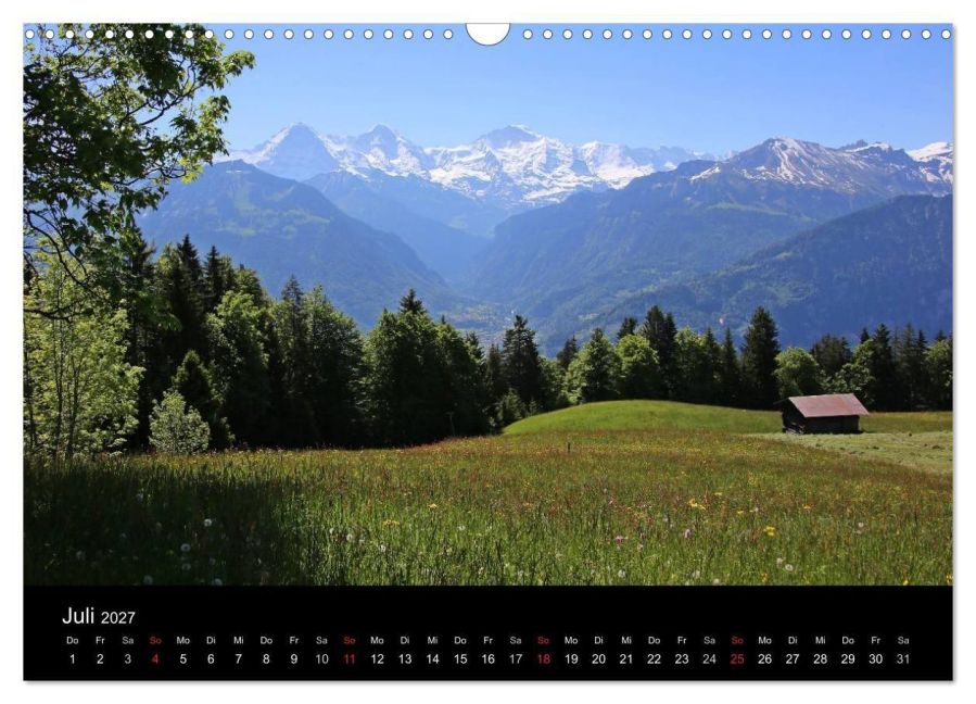 InsideView 12