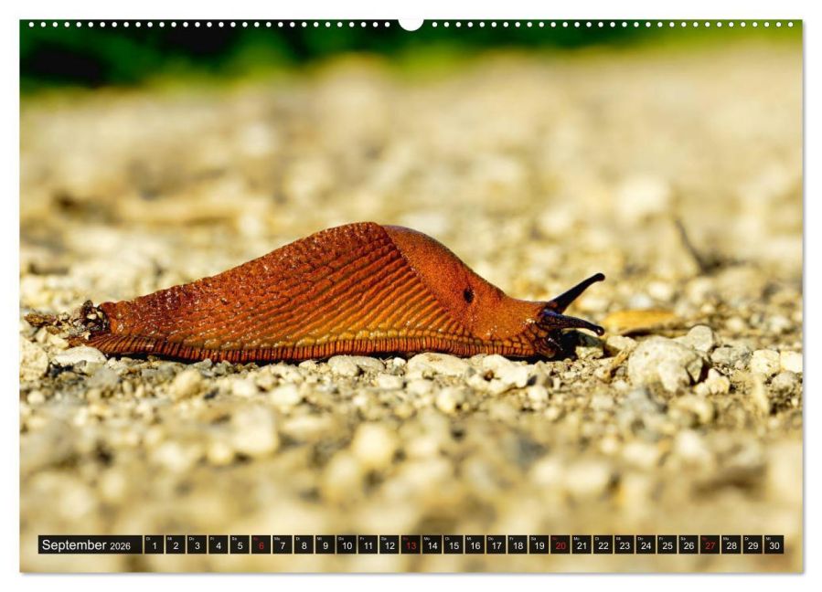 InsideView 14