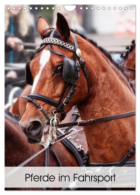 Pferde im Fahrsport (Wandkalender 2025 DIN A4 hoch), CALVENDO Monatskalender - Marion Sixt