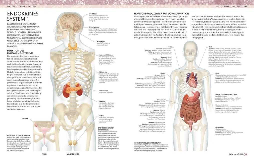 InsideView 7
