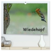 Cover-Bild zum Titel 'Wiedehopf (hochwertiger Premium Wandkalender 2026 DIN A2 quer), Kunstdruck in Hochglanz' von 'Gerald Wolf'