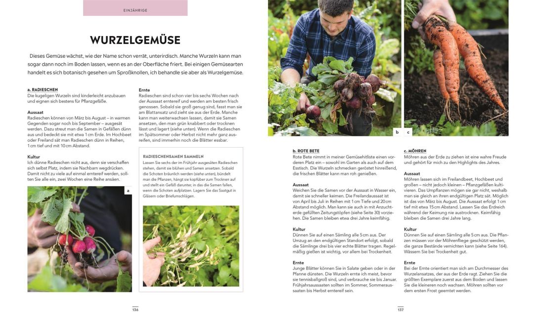 InsideView 7