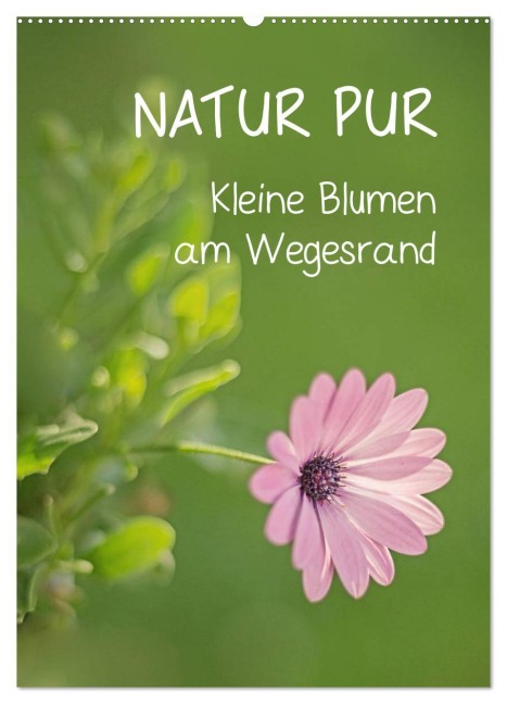NATUR PUR Kleine Blumen am Wegesrand (Wandkalender 2026 DIN A2 hoch), CALVENDO Monatskalender - Karin Dietzel