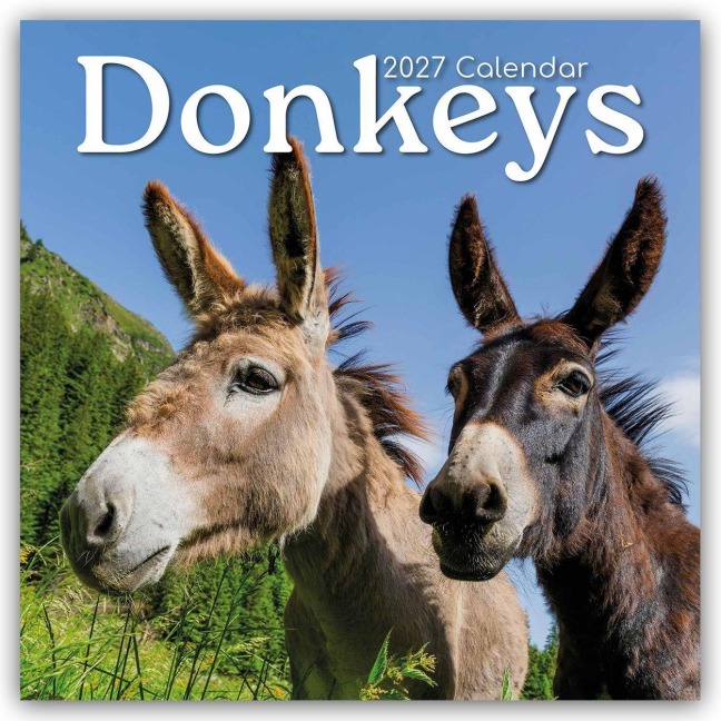 Donkeys - Esel 2027 - 16-Monatskalender - Gifted Stationery Co. Ltd