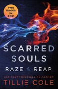 Cover-Bild zum Titel 'Scarred Souls' von 'Tillie Cole'