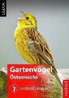 Gartenvögel Österreichs - Vögel Erkennen, Bestimmen und Schützen - Sunbird Images