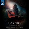 Cover-Bild zum Titel 'Flamenco-Pasado y Presente' von 'Ignacio Lusardi Monteverde'