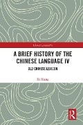 Cover-Bild zum Titel 'A Brief History of the Chinese Language IV' von 'Xi Xiang'