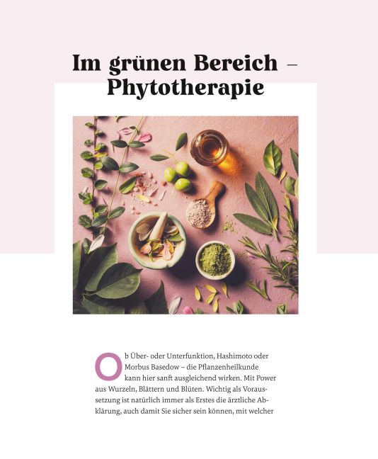 InsideView 53