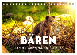Cover-Bild zum Titel 'Bären - Pandas, Grizzlybären und Co. (Tischkalender 2026 DIN A5 quer), CALVENDO Monatskalender' von 'Sf Sf'