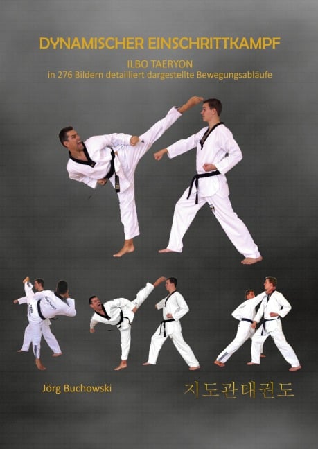 Dynamischer Einschrittkampf Ilbo Taeryon - Jörg Buchowski