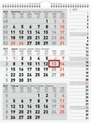 Cover-Bild zum Titel 'rido/idé 7033330007 3-Monatskalender 2027 grau, 300×390 mm' von ''