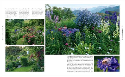 InsideView 5