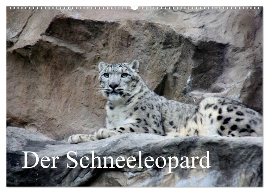 Der Schneeleopard (Wandkalender 2026 DIN A2 quer), CALVENDO Monatskalender - Arno Klatt