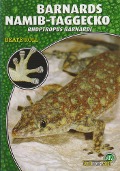 Cover-Bild zum Titel 'Barnards Namib-Taggecko' von 'Beate Röll'
